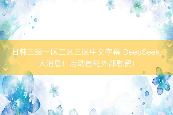 日韩三级一区二区三区中文字幕 DeepSeek，大消息！启动首轮外部融资！
