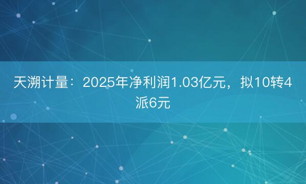 天溯计量：2025年净利润1.03亿元，拟10转4派6元
