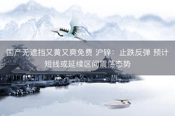 国产无遮挡又黄又爽免费 沪锌：止跌反弹 预计短线或延续区间震荡态势