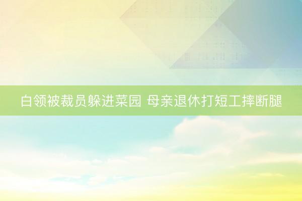白领被裁员躲进菜园 母亲退休打短工摔断腿