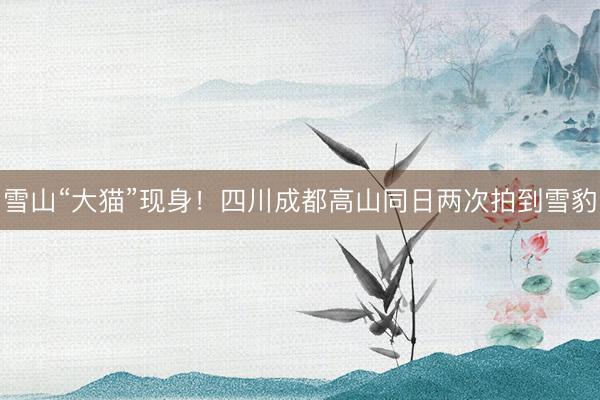 雪山“大猫”现身！四川成都高山同日两次拍到雪豹
