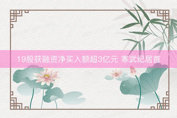 19股获融资净买入额超3亿元 寒武纪居首