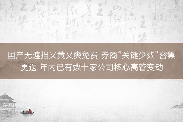国产无遮挡又黄又爽免费 券商“关键少数”密集更迭 年内已有数十家公司核心高管变动