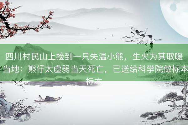 四川村民山上捡到一只失温小熊，生火为其取暖 当地：熊仔太虚弱当天死亡，已送给科学院做标本