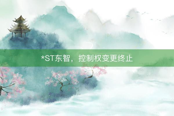 *ST东智，控制权变更终止