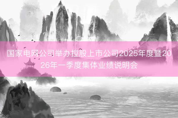 国家电网公司举办控股上市公司2025年度暨2026年一季度集体业绩说明会