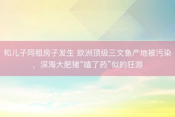 和儿子同租房子发生 欧洲顶级三文鱼产地被污染，深海大肥猪“嗑了药”似的狂游