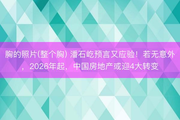 胸的照片(整个胸) 潘石屹预言又应验！若无意外，2026年起，中国房地产或迎4大转变