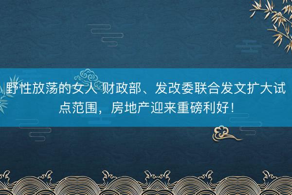 野性放荡的女人 财政部、发改委联合发文扩大试点范围，房地产迎来重磅利好！