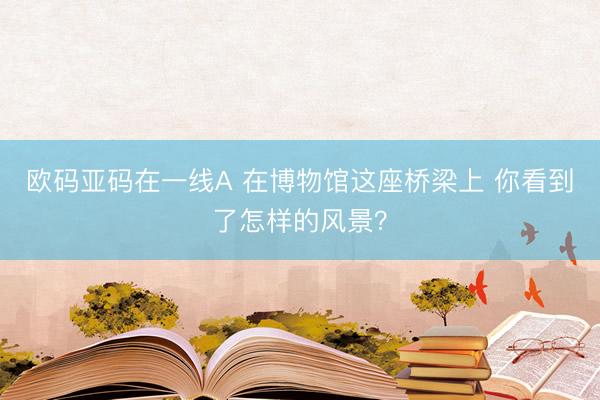 欧码亚码在一线A 在博物馆这座桥梁上 你看到了怎样的风景？