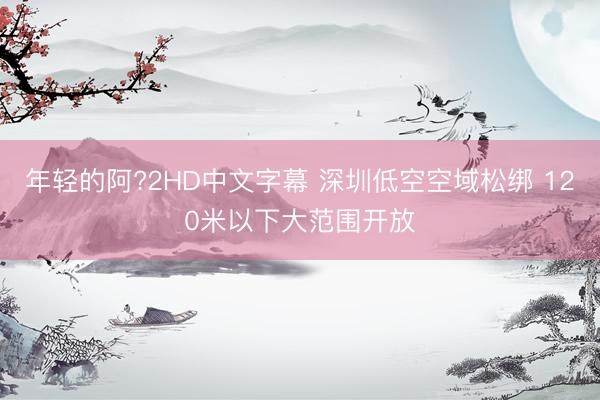 年轻的阿?2HD中文字幕 深圳低空空域松绑 120米以下大范围开放