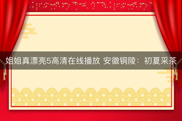 姐姐真漂亮5高清在线播放 安徽铜陵:初夏采茶