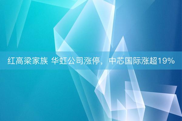 红高梁家族 华虹公司涨停，中芯国际涨超19%