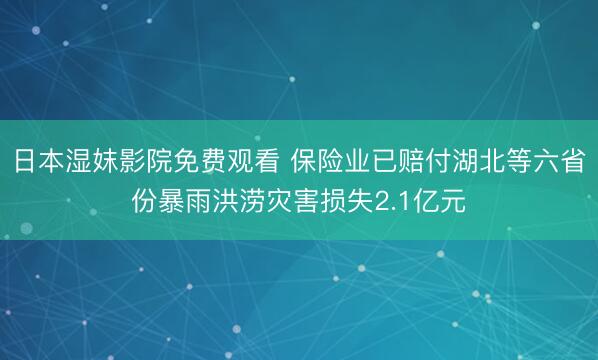 日本湿妺影院免费观看 保险业已赔付湖北等六省份暴雨洪涝灾害损失2.1亿元
