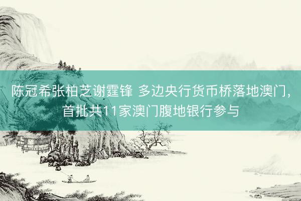 陈冠希张柏芝谢霆锋 多边央行货币桥落地澳门，首批共11家澳门腹地银行参与