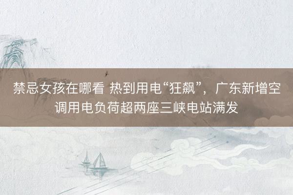 禁忌女孩在哪看 热到用电“狂飙”，广东新增空调用电负荷超两座三峡电站满发