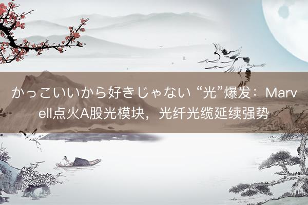 かっこいいから好きじゃない “光”爆发：Marvell点火A股光模块，光纤光缆延续强势