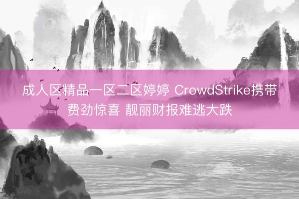 成人区精品一区二区婷婷 CrowdStrike携带费劲惊喜 靓丽财报难逃大跌