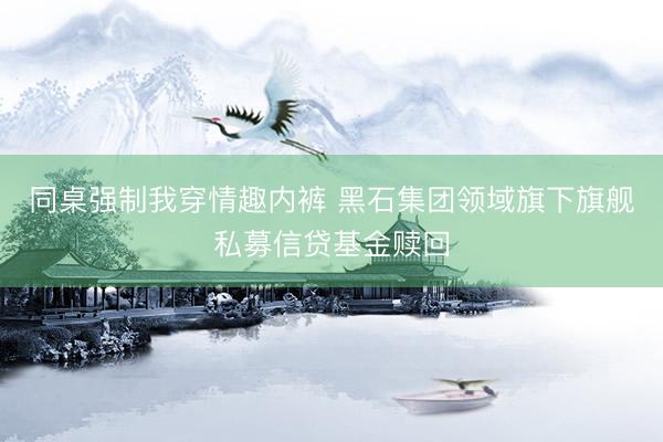 同桌强制我穿情趣内裤 黑石集团领域旗下旗舰私募信贷基金赎回