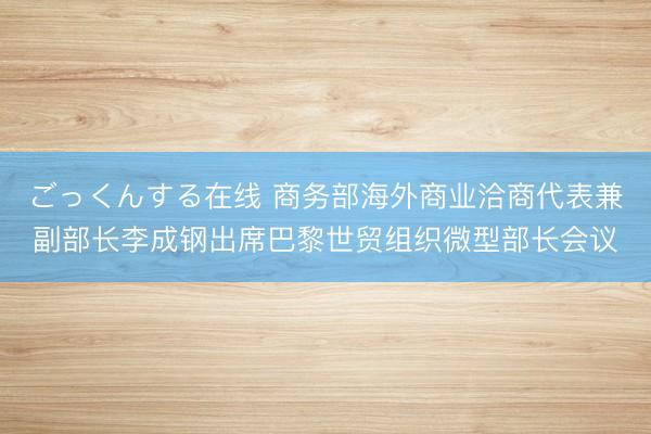 ごっくんする在线 商务部海外商业洽商代表兼副部长李成钢出席巴黎世贸组织微型部长会议