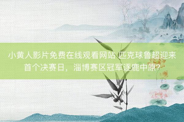 小黄人影片免费在线观看网站 匹克球鲁超迎来首个决赛日，淄博赛区冠军逐鹿中原？