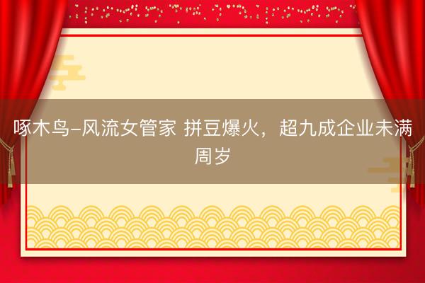 啄木鸟-风流女管家 拼豆爆火，超九成企业未满周岁