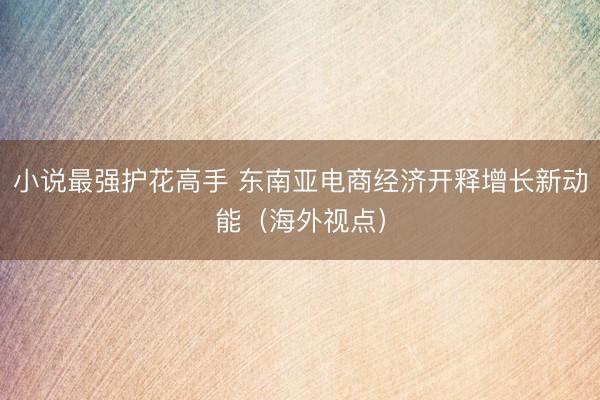 小说最强护花高手 东南亚电商经济开释增长新动能(海外视点)