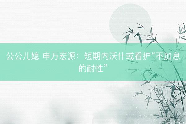 公公儿媳 申万宏源：短期内沃什或看护“不加息的耐性”