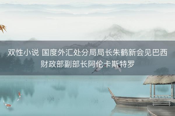 双性小说 国度外汇处分局局长朱鹤新会见巴西财政部副部长阿伦卡斯特罗