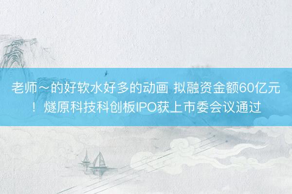 老师～的好软水好多的动画 拟融资金额60亿元！燧原科技科创板IPO获上市委会议通过