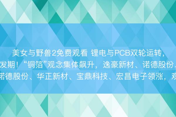 美女与野兽2免费观看 锂电与PCB双轮运转,高端铜箔产能彭胀迎爆发期!“铜箔”观念集体飙升,逸豪新材、诺德股份、华正新材、宝鼎科技、宏昌电子领涨,观念有关企业整理