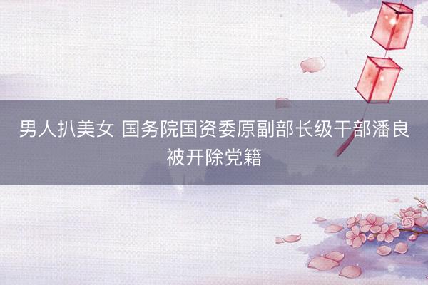 男人扒美女 国务院国资委原副部长级干部潘良被开除党籍