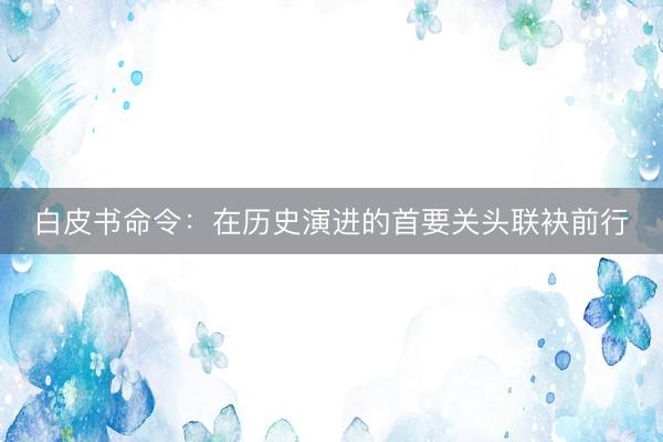 白皮书命令：在历史演进的首要关头联袂前行